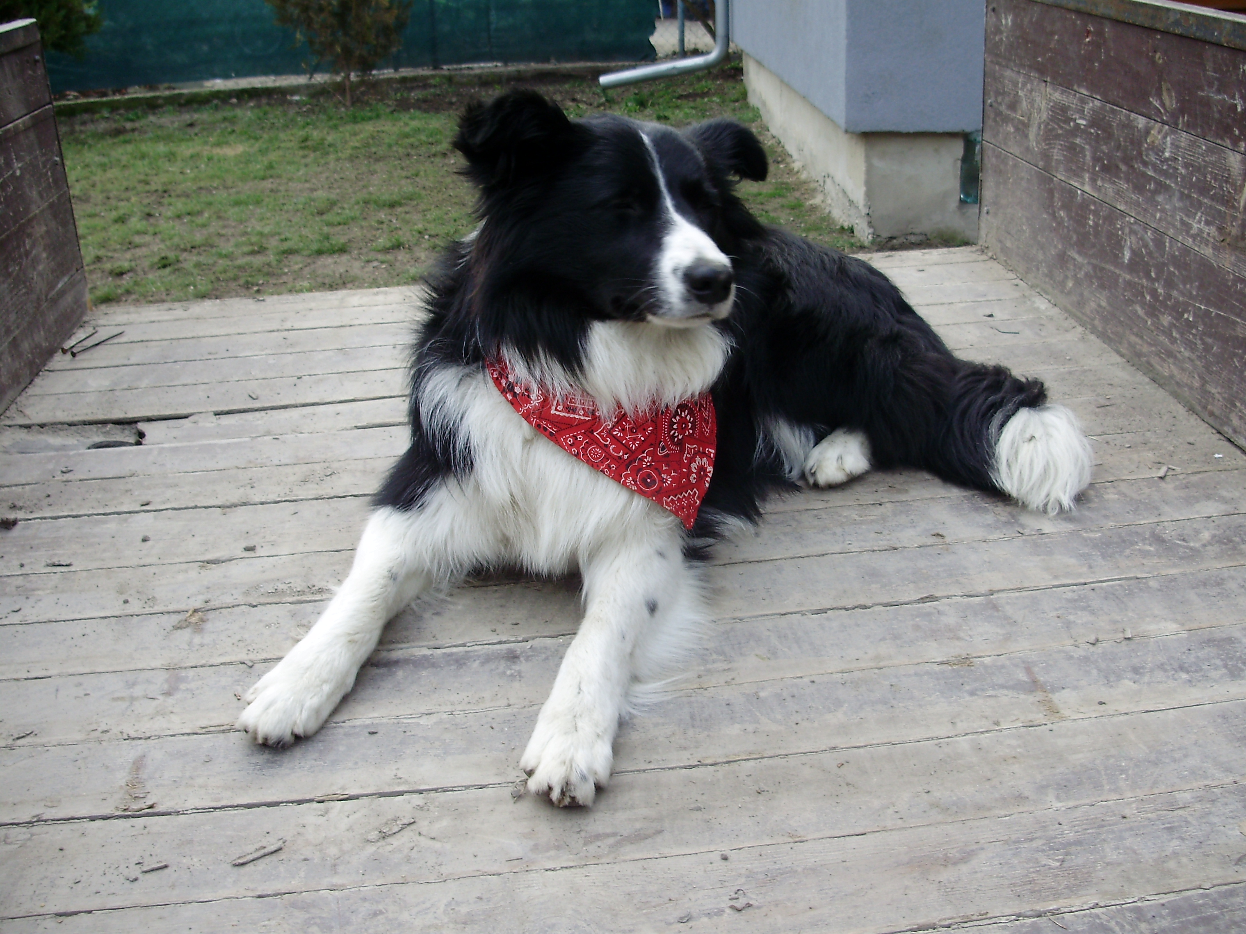 P1010678.JPG