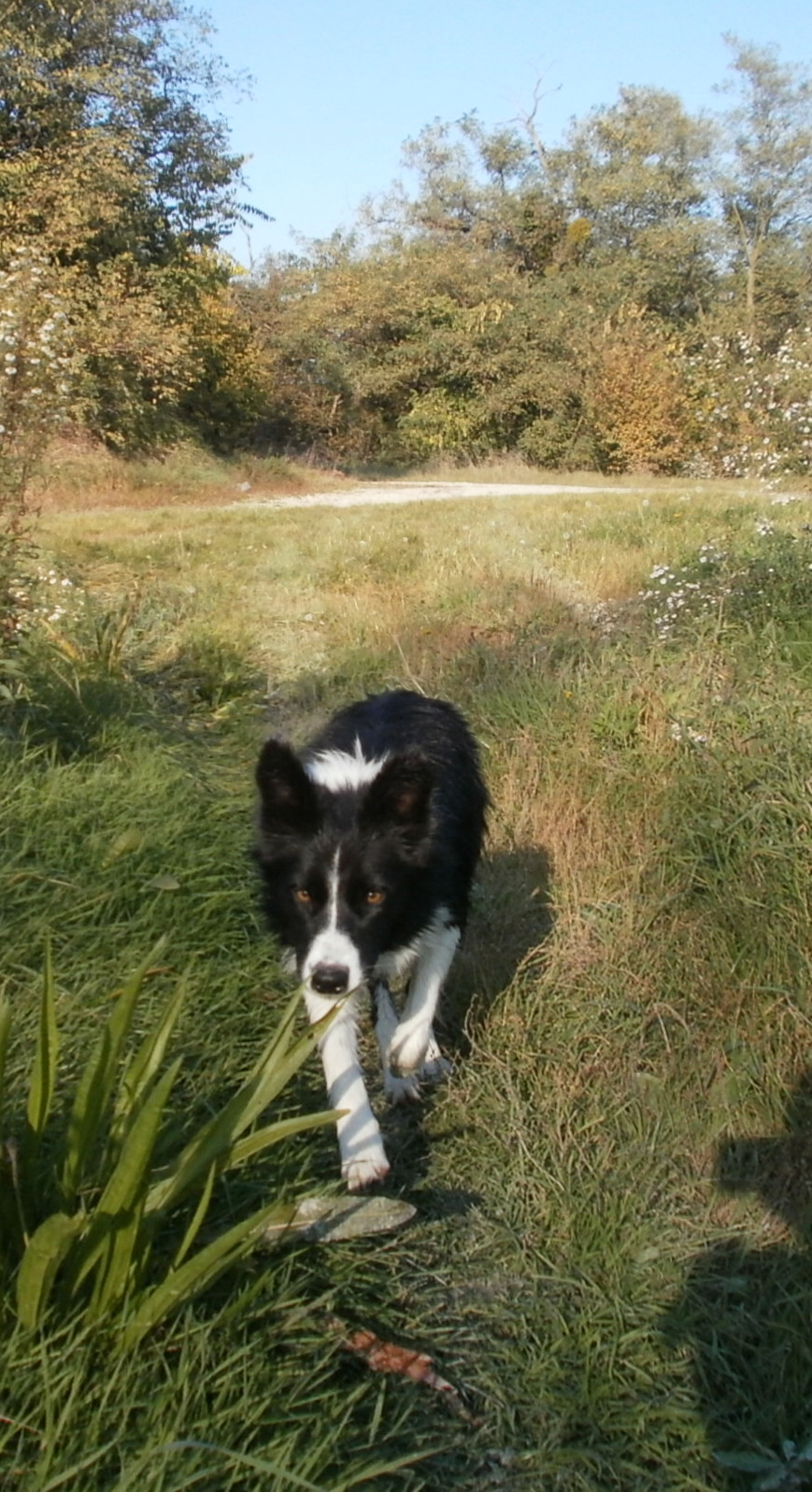 PA110223.JPG