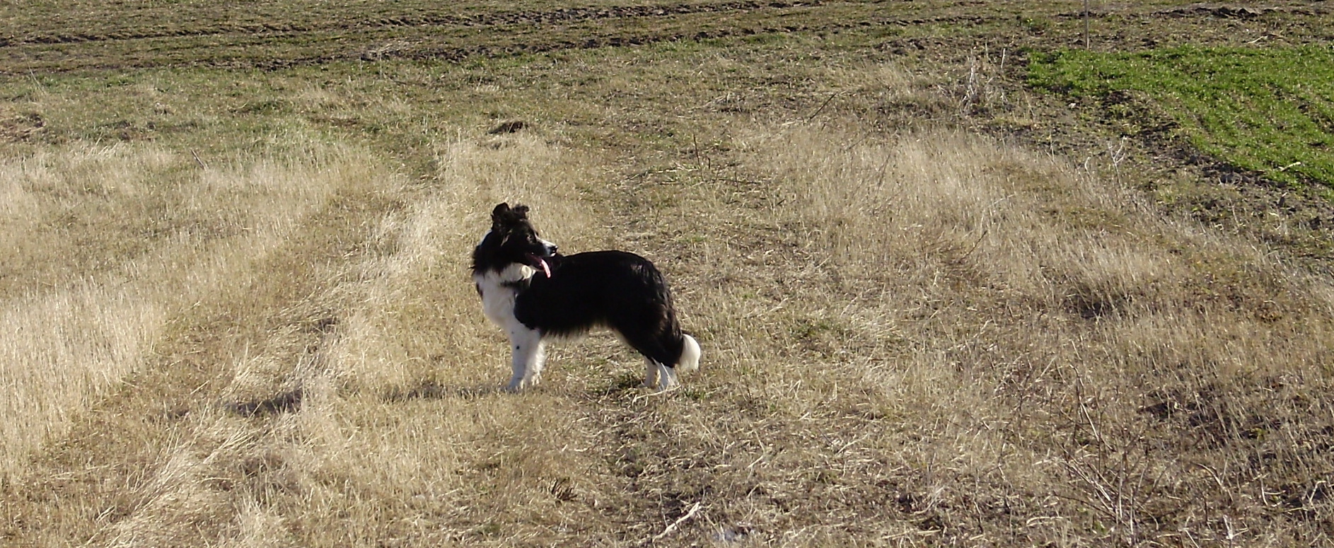 PC200595.JPG