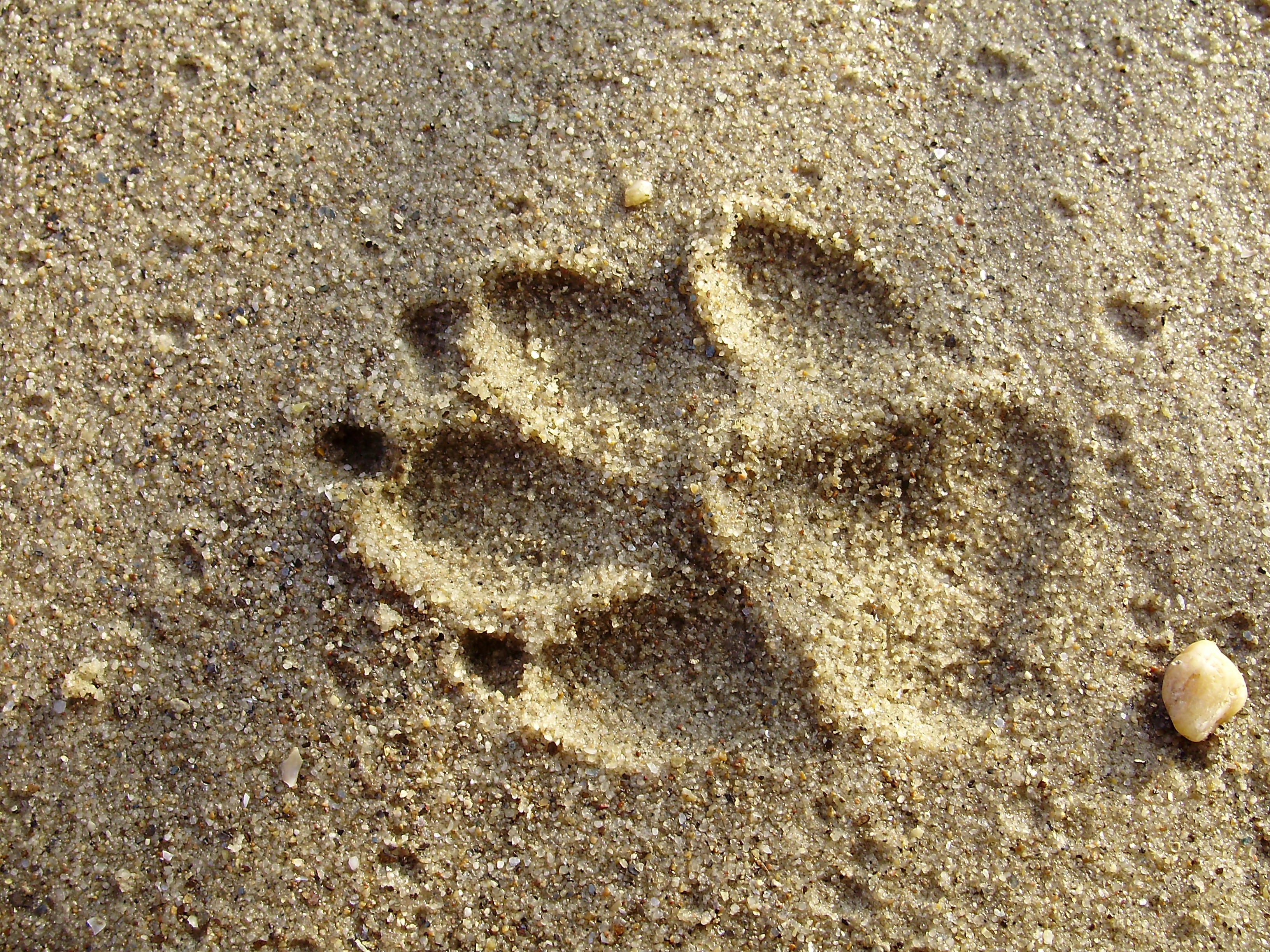 PA250033.JPG